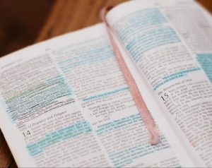 Notes and highlights of Bible text